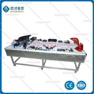 Platforma za usposabljanje električnega sistema celotnega vozila